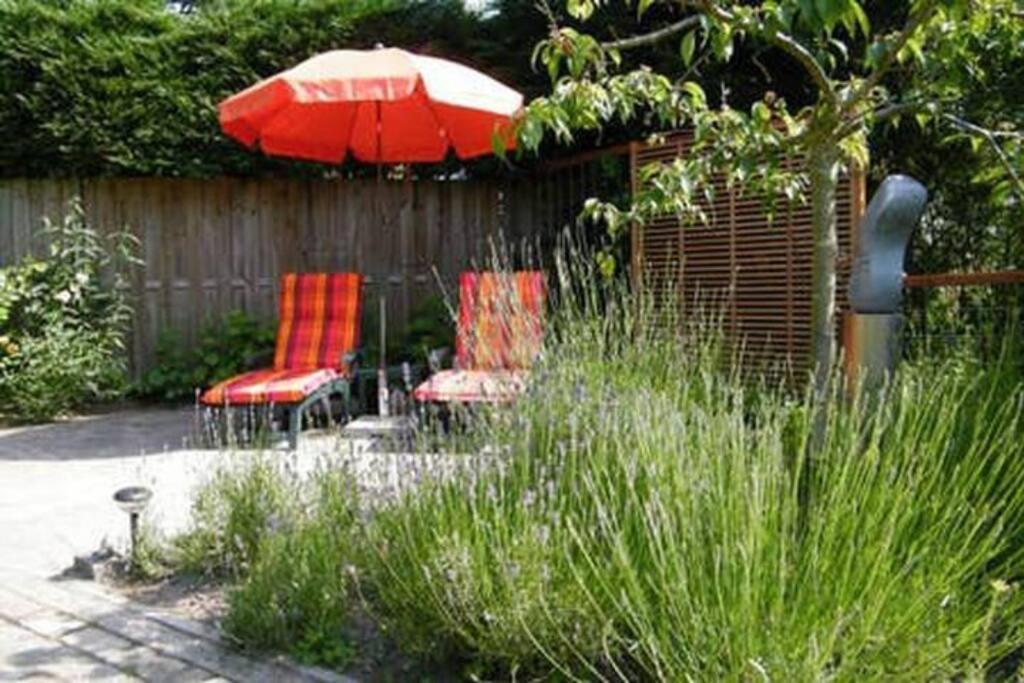 Studio Bed & Strand Scharendijke Εξωτερικό φωτογραφία