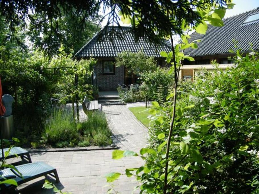 Studio Bed & Strand Scharendijke Εξωτερικό φωτογραφία